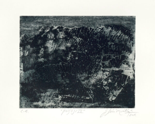 Jesús Martínez<i>, Sueños sin rumbo</i>, 2011, aguafuerte, 40.8 x 60.5 (soporte), 38 x 56 cm (imagen), ID JEMA0-10