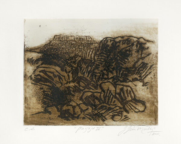 Jesús Martínez<i>, Sueños sin rumbo</i>, 2011, aguafuerte, 40.8 x 60.5 (soporte), 38 x 56 cm (imagen), ID JEMA0-5