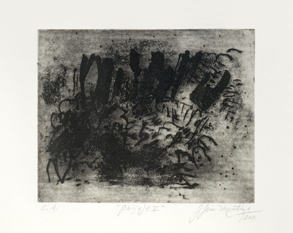 Jesús Martínez<i>, Sueños sin rumbo</i>, 2011, aguafuerte, 40.8 x 60.5 (soporte), 38 x 56 cm (imagen), ID JEMA0-6
