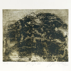 Jesús Martínez<i>, Sueños sin rumbo</i>, 2011, aguafuerte, 40.8 x 60.5 (soporte), 38 x 56 cm (imagen), ID JEMA0-8