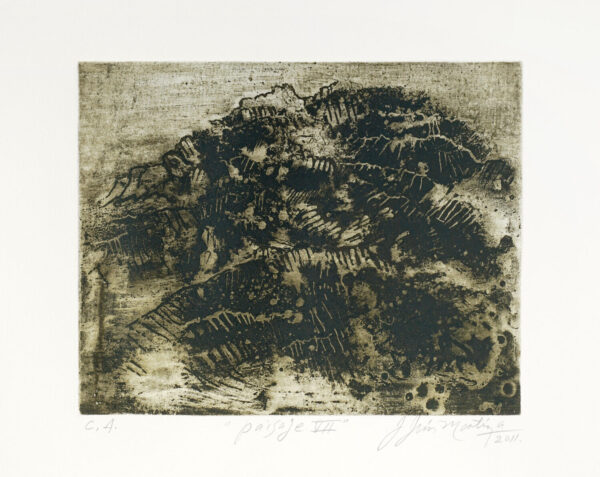 Jesús Martínez<i>, Sueños sin rumbo</i>, 2011, aguafuerte, 40.8 x 60.5 (soporte), 38 x 56 cm (imagen), ID JEMA0-8